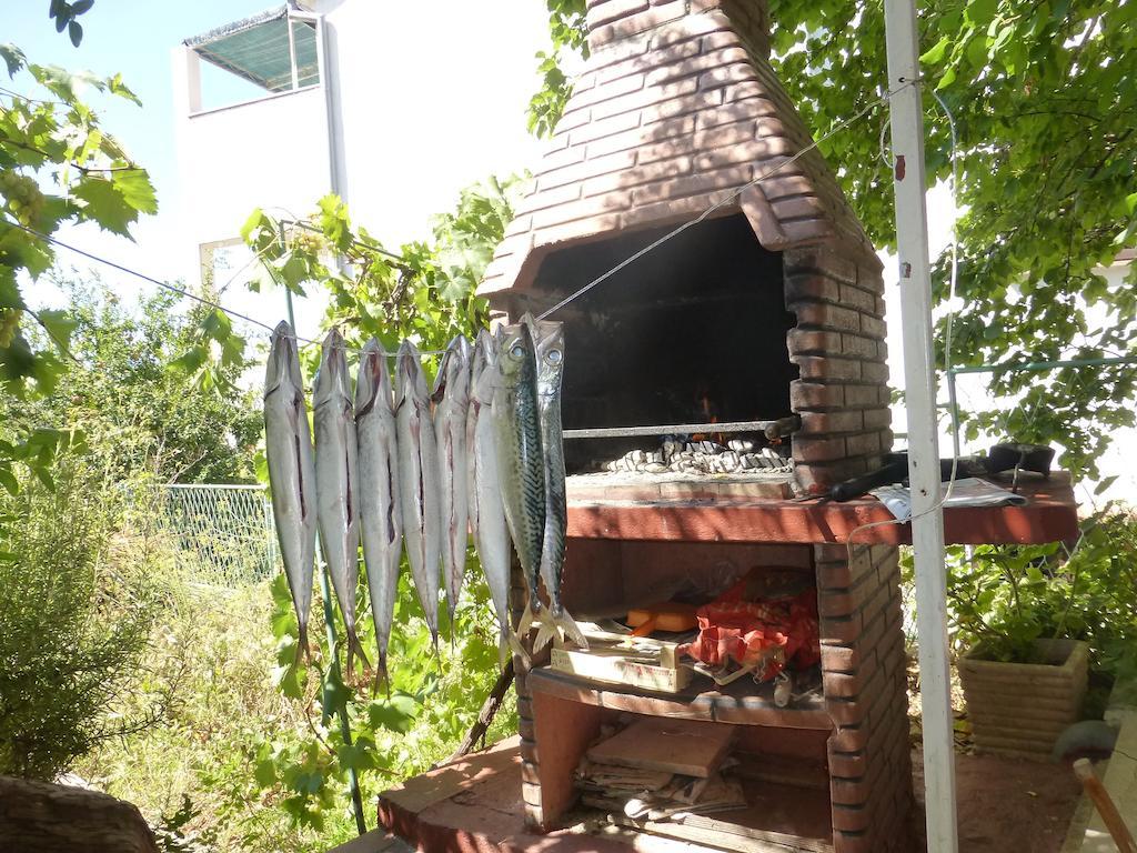 Apartment Zoric Grebaštica 객실 사진